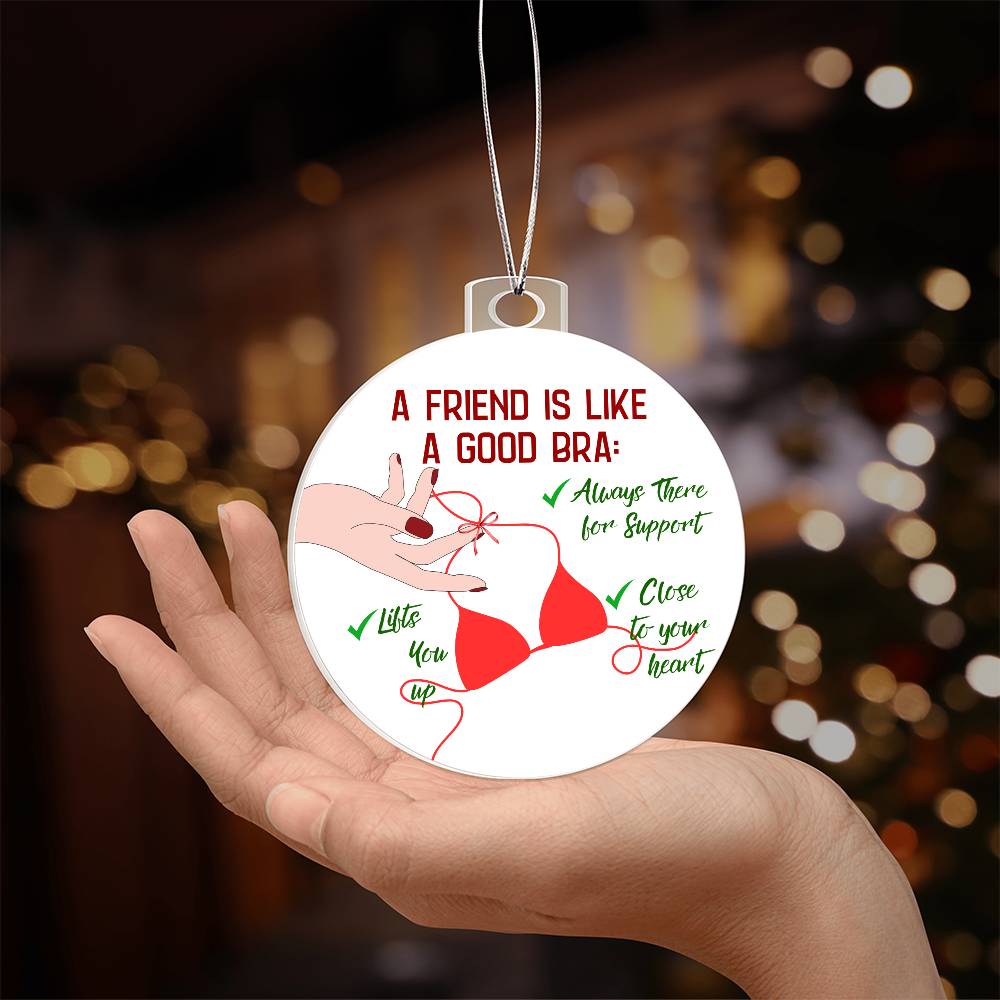 Funny  Christmas Ornaments, Gift for  Best Friend, Funny Gift for her, Funny Gift Him