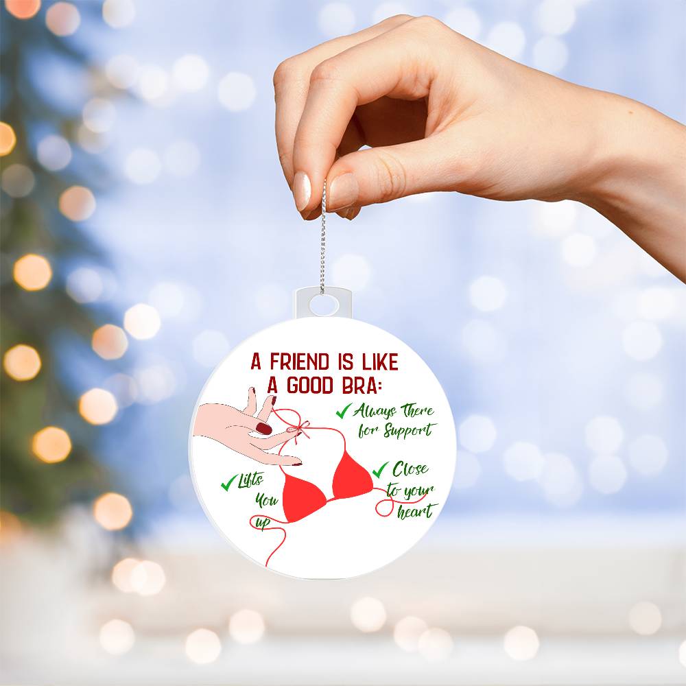 Funny  Christmas Ornaments, Gift for  Best Friend, Funny Gift for her, Funny Gift Him