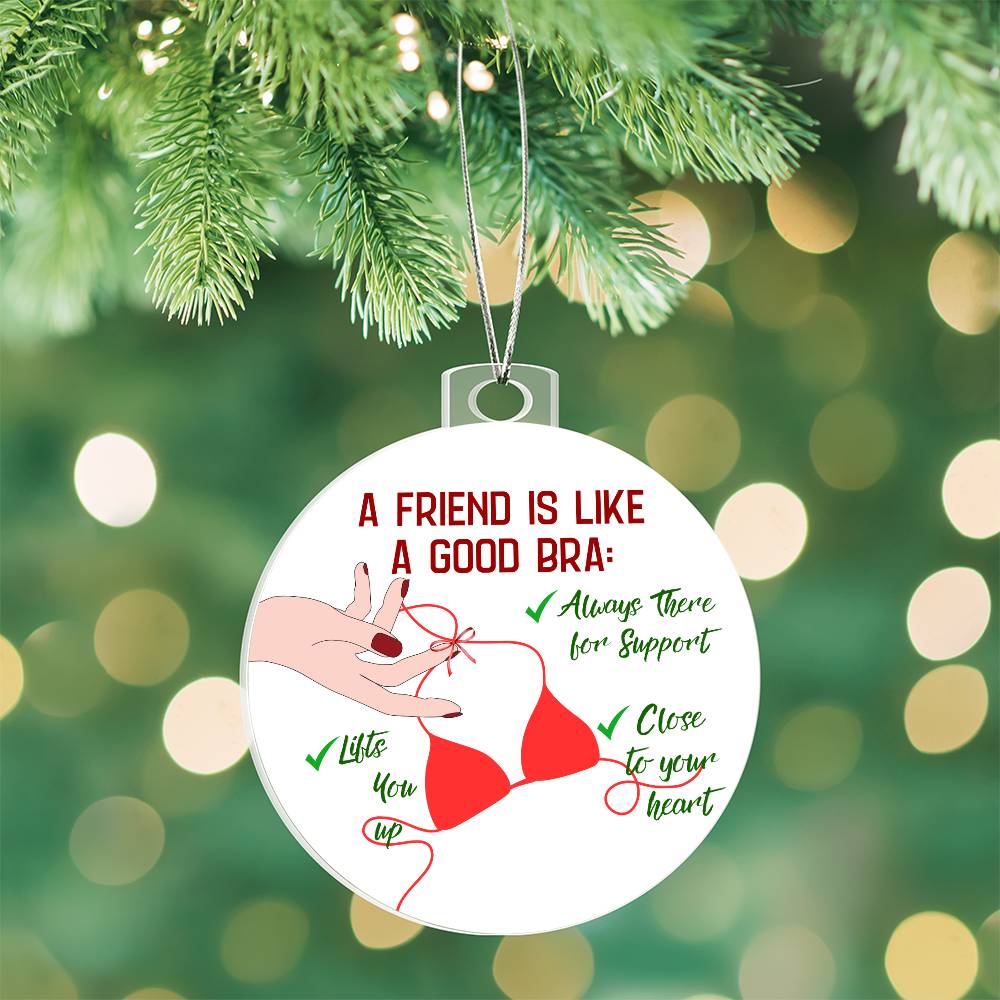 Funny  Christmas Ornaments, Gift for  Best Friend, Funny Gift for her, Funny Gift Him