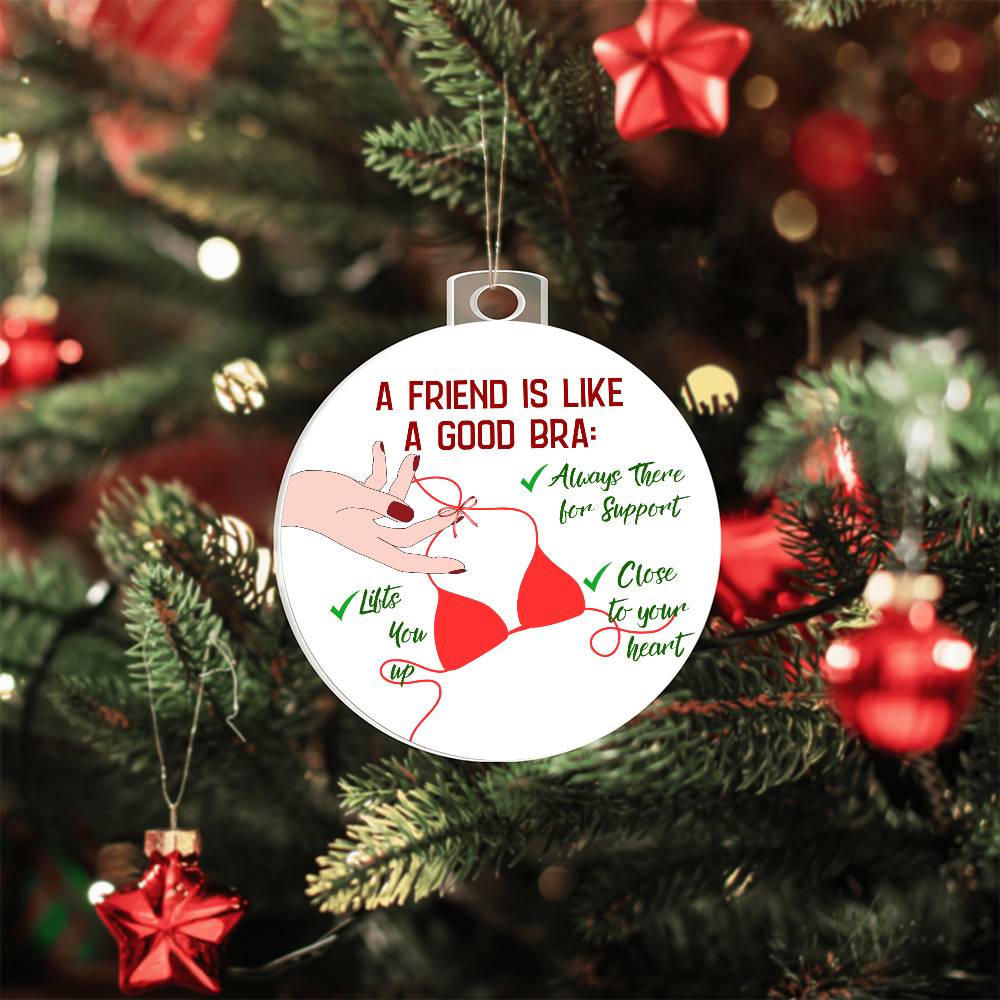 Funny  Christmas Ornaments, Gift for  Best Friend, Funny Gift for her, Funny Gift Him