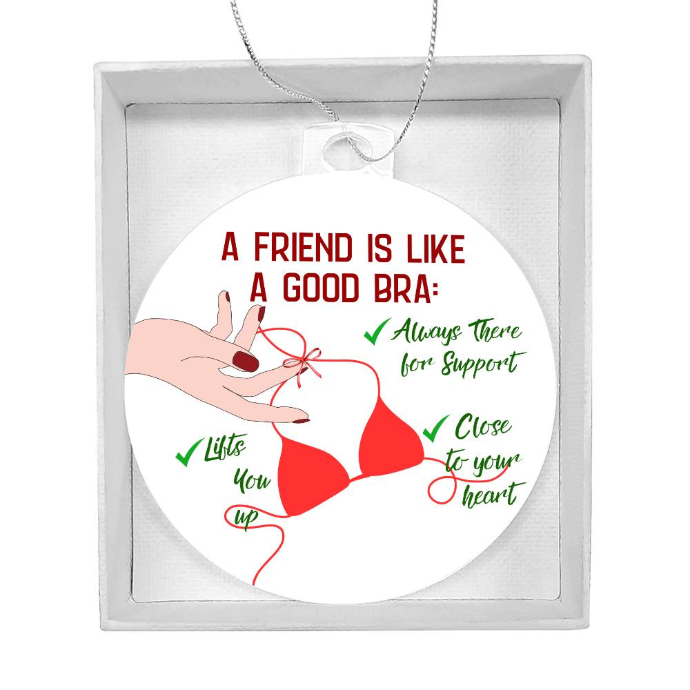 Funny  Christmas Ornaments, Gift for  Best Friend, Funny Gift for her, Funny Gift Him