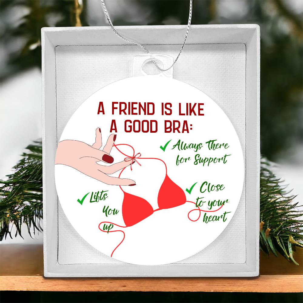 Funny  Christmas Ornaments, Gift for  Best Friend, Funny Gift for her, Funny Gift Him