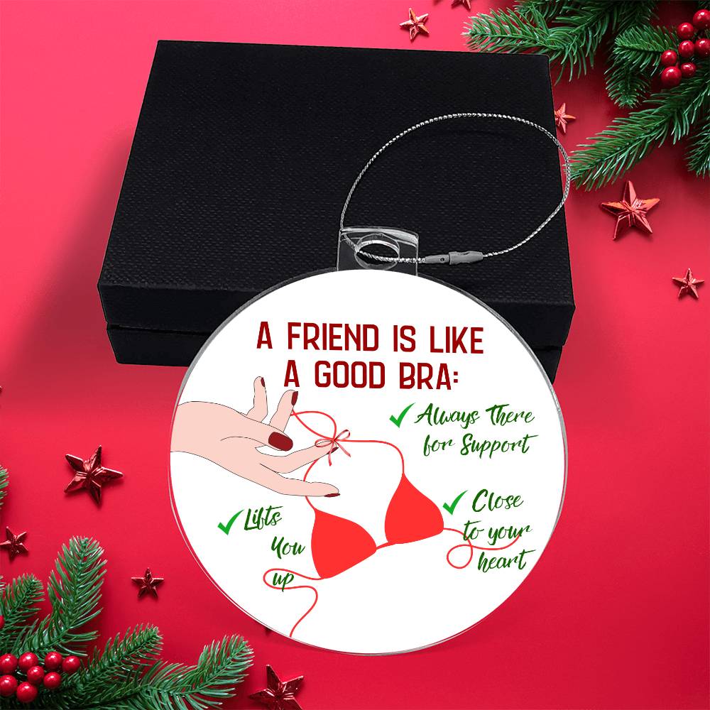 Funny  Christmas Ornaments, Gift for  Best Friend, Funny Gift for her, Funny Gift Him