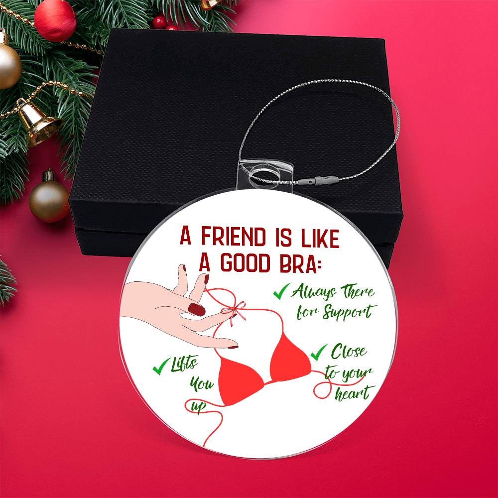 Funny  Christmas Ornaments, Gift for  Best Friend, Funny Gift for her, Funny Gift Him